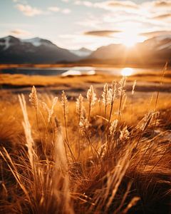 Herbst im Yukon