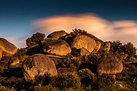 Parc national de Los Barruecos en Espagne.