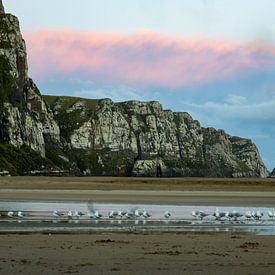 Les mouettes au coucher du soleil sur Jurgen Buijsse