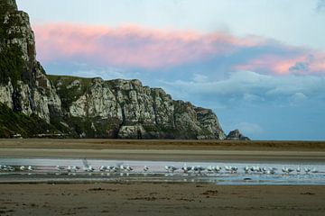 Gulls at sunset by Jurgen Buijsse