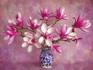 Magnolienblüten | Flower Power
