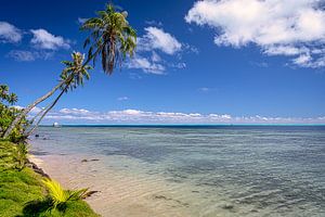 Tropischer Strand Bora Bora