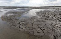 Marker Wadden