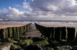 On the Zeeland Coast by Stephan Scheffer