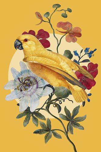 Vintage Yellow Parrot Art II von Marja van den Hurk