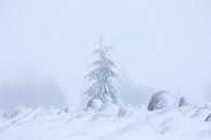 mooi besneeuwd winterlandschap van Olha Rohulya thumbnail