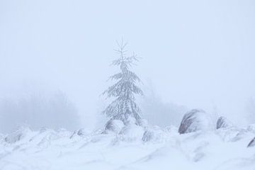 schöne verschneite Winterlandschaft von Olha Rohulya
