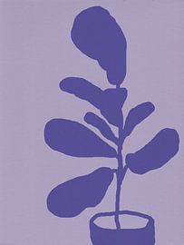 Ficus Lyrata. Fiddle-leaf fig in violet on lilac. by Dina Dankers