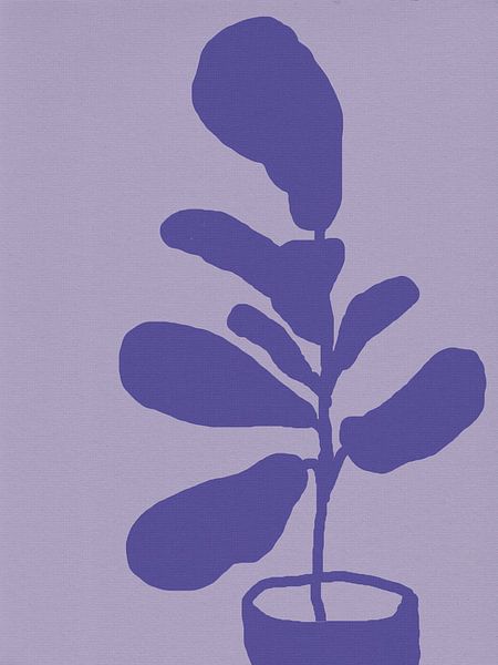 Ficus Lyrata. Figue à feuilles de violon en violet sur lilas. par Dina Dankers