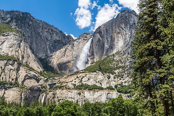 Yosemite Falls van Peter Leenen