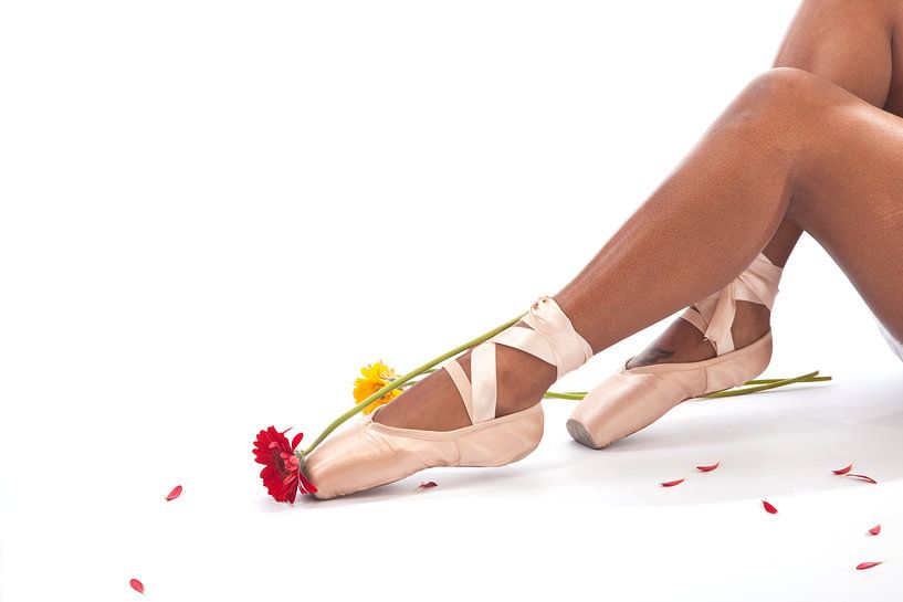 ballet by marlies bouten