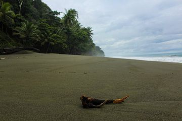 Île inhabitée sur Joep Brocker