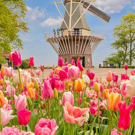 Keukenhof sur Nicole Jagerman