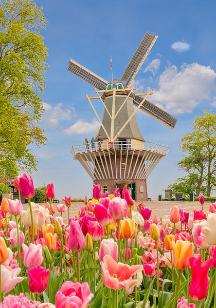 Keukenhof by Nicole Jagerman