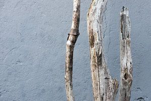 Verweert hout
