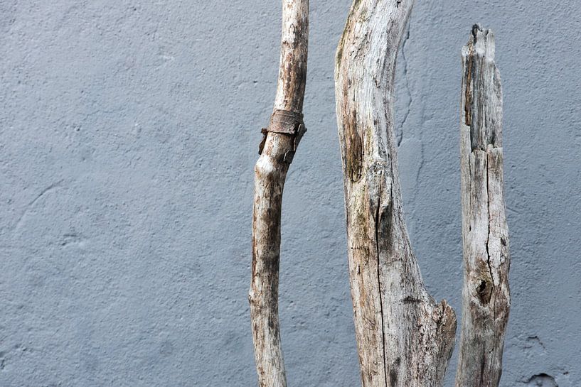 Verweert hout von Sense Photography