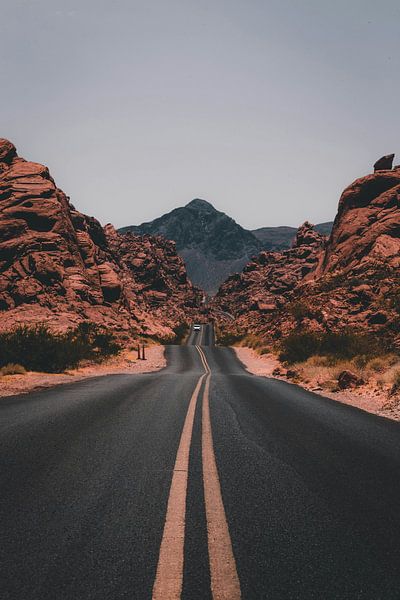 Nature Images by movie & music poster