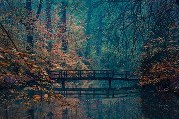 Brücke in stimmungsvollem Wald von Marijke Kievits Fotografie