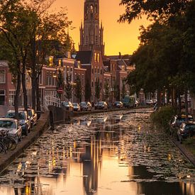Nieuwe kerk Delft bij zonsondergang van Ilya Korzelius