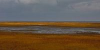 De Schorren op Texel