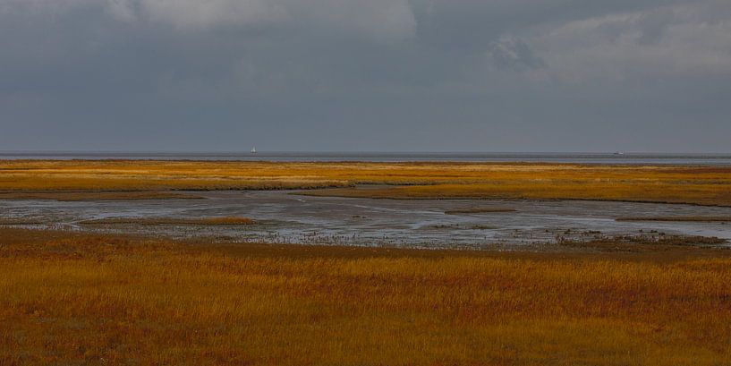 De Schorren op Texel van Annie Keizer