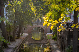 Le pont Brigittenbrug à Utrecht, qui enjambe la Nieuwegracht, en automne (1)
