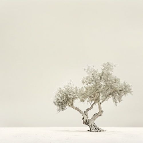 Olijfboom - Minimalistische natuurlijke kunst