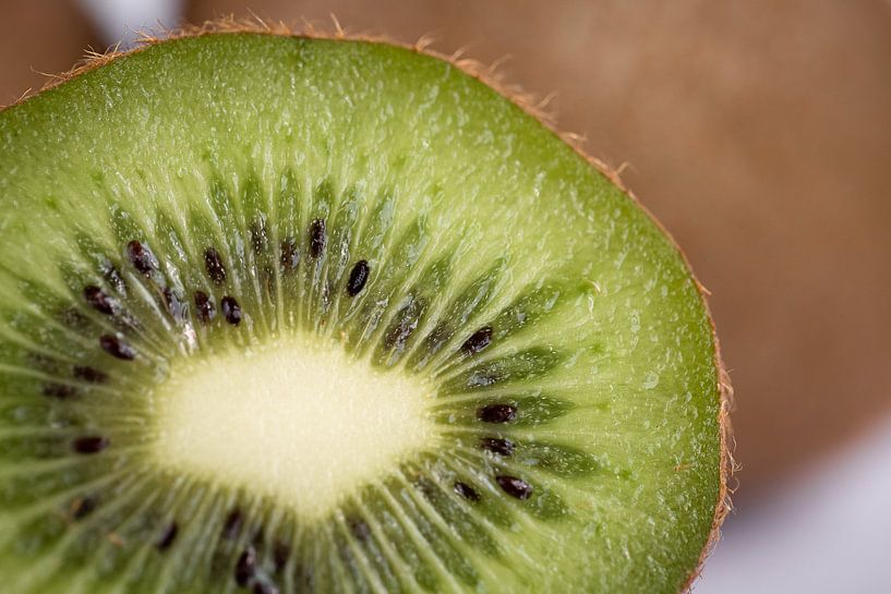 kiwi von Dani Teston