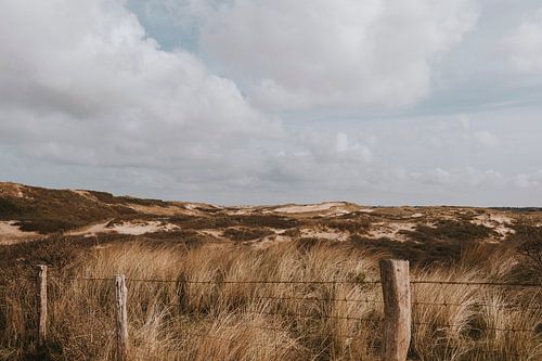 Dune area of Castricum aan Zee in North Holland, the Netherlands