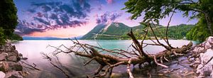 Walchensee am Sommerabend