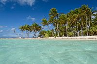 Paradise
