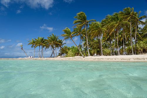 Paradise