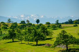 Weitblick auf die Schweizer Berge von Leo Schindzielorz