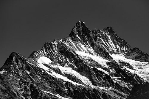 Schreckhorn and Lauteraarhorn in the Bernese Oberland