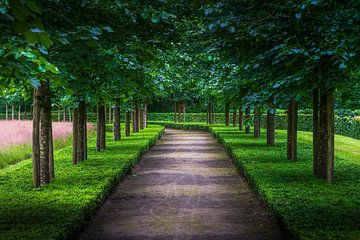 Symmetrisch wandelpad van Rob Baken