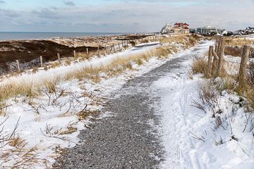 Coepelduynen sur Yanuschka Fotografie | Noordwijk