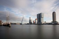 Rotterdam