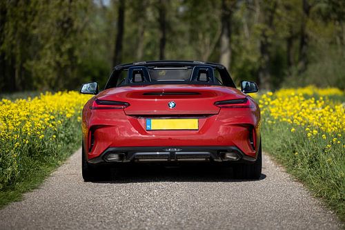 BMW Z4 M40i in het voorjaar