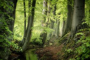 A World Anew