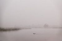 Vroege, mistige ochtend in de Hemelrijkse Waard bij Lithoijen