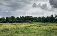 field_02
