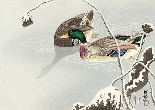 Two Mallards near a Snow-Covered Lotus (1925 - 1936) by Ohara Koson