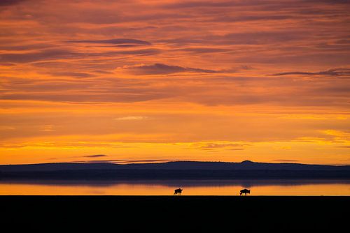 Lever du soleil en Afrique