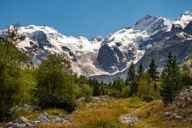 Scenic alpine view of Morteratsch glacier and Bernina peaks under blue sky by Steven Van Aerschot