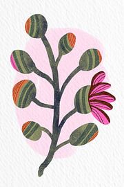 Im Rhythmus wachsen von Studio Olijf