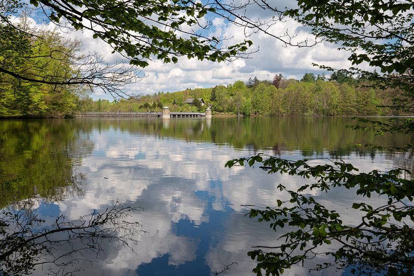 Neyetalsperre, Bergisches Panoramasteig, Bergisches Land, Germany by Alexander Ludwig