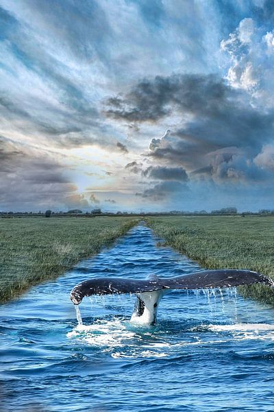 Alblasserwaard whale by Angelique Niehorster
