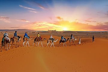 Kamelen in de  Erg Shebbi woestijn in Marokko bij zonsondergang van Eye on You