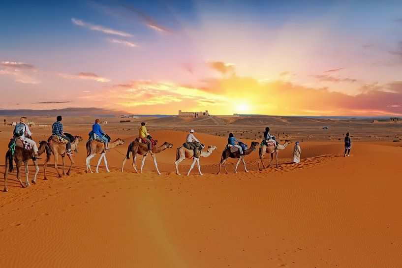 Camels in the Erg Shebbi desert in Morocco at sunset by Eye on You