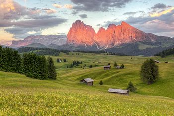 L'incandescence des Alpes sur l'Alpe de Siusi #2